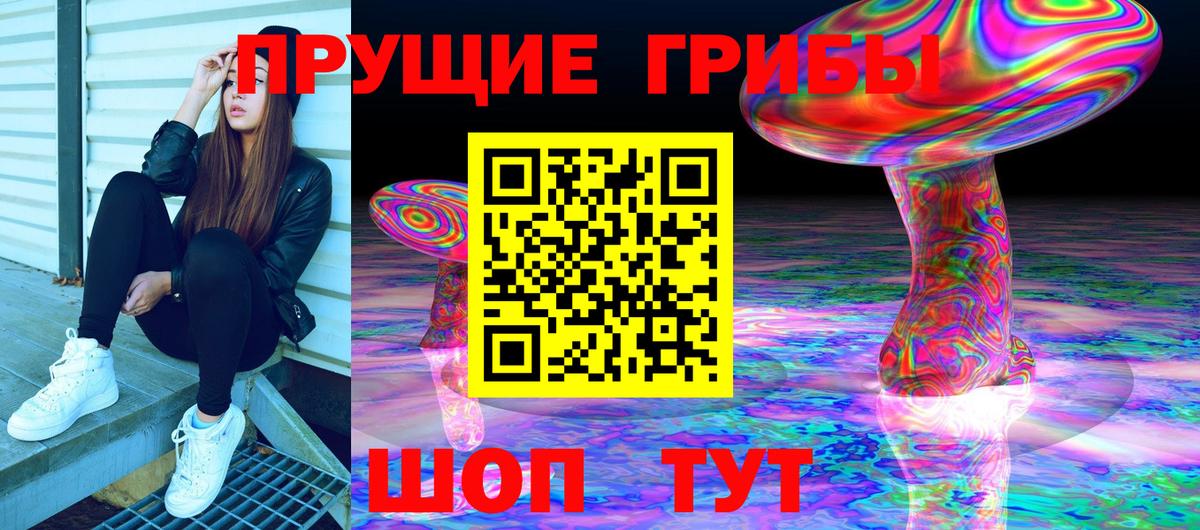 Галлюциногенные грибы Cubensis Гатчина
