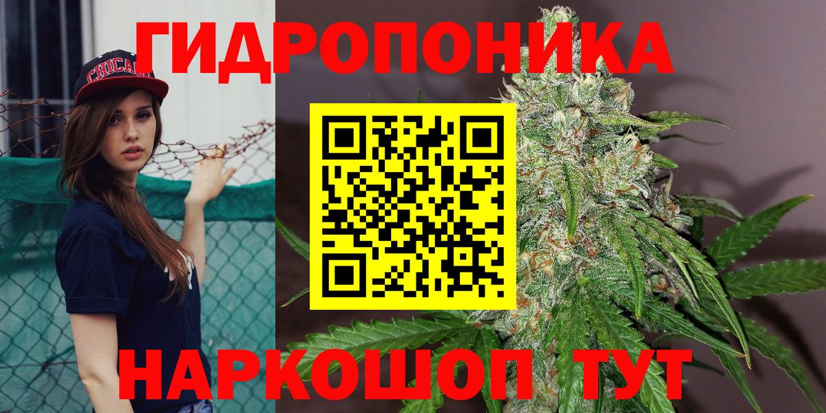 Канабис семена Гатчина